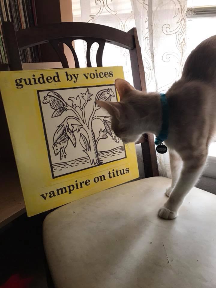 vampire-on-titus.jpg
